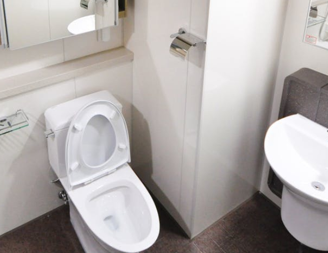 toilet installation london